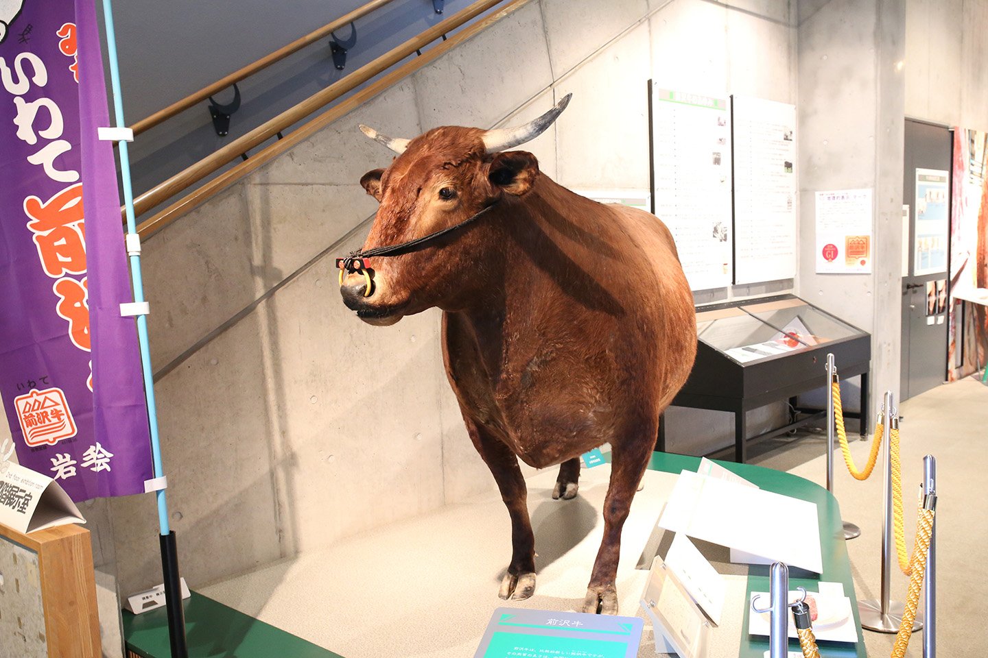 🐂 오슈시 소 박물관 (오슈시 우시노하쿠부츠칸) 이미지 7